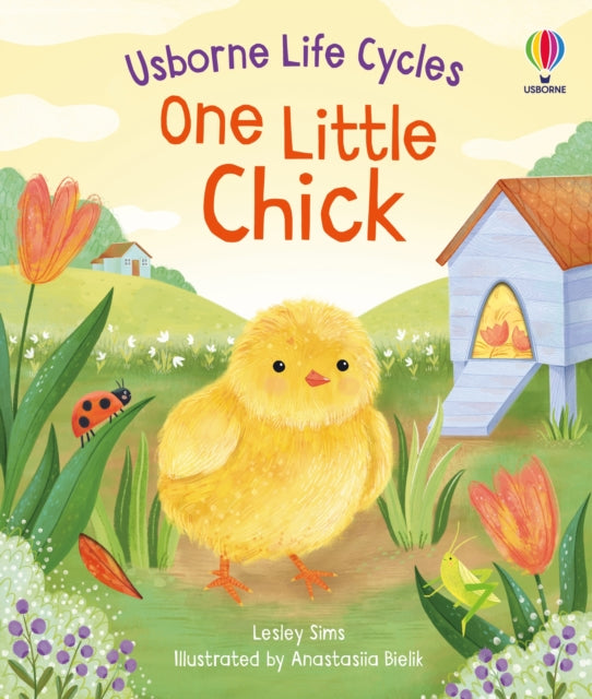 One Little Chick-9781805312253