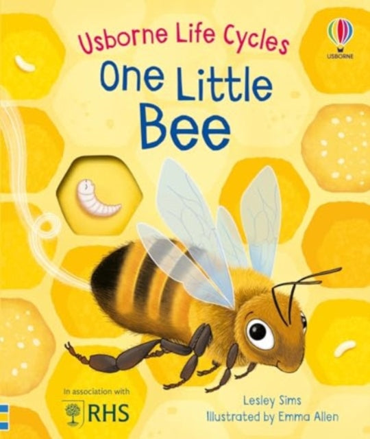 One Little Bee-9781805312628