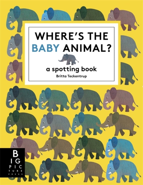 Where's the Baby Animal? : A Spotting Book-9781835870983