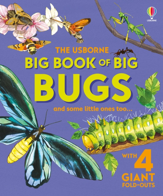 Big Book of Big Bugs-9781836040255