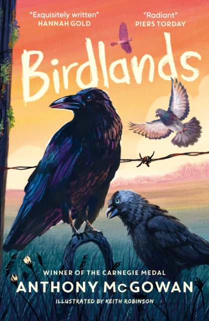 Birdlands : 'One of McGowan's best.' The Telegraph best new children's books-9781836431800