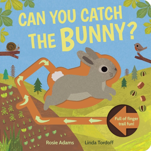 Can You Catch the Bunny?-9781838916008