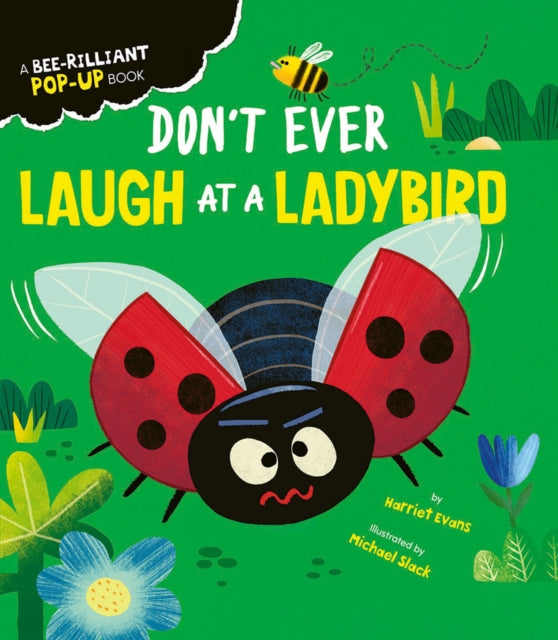 Don't Ever Laugh at a Ladybird-9781838916015