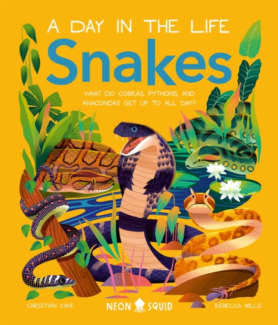 Snakes (A Day in the Life) : What Do Cobras, Pythons, and Anacondas Get Up to All Day?-9781838993269