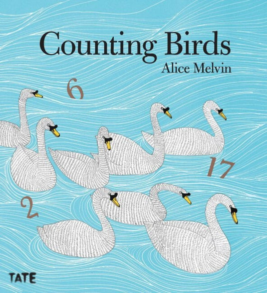 Counting Birds-9781849762106