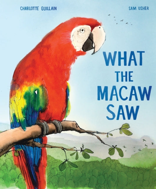 What the Macaw Saw-9781913519735