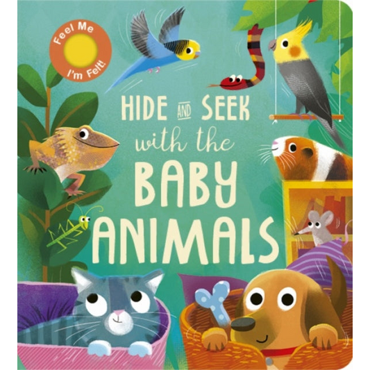 Hide and Seek with the Baby Animals