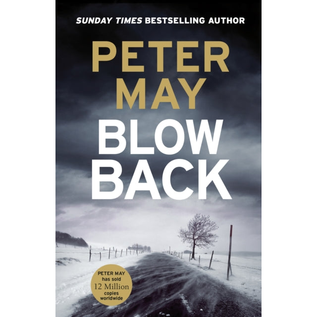 Blowback : The exciting penultimate case in the addictive crime series (The Enzo Files Book 5)