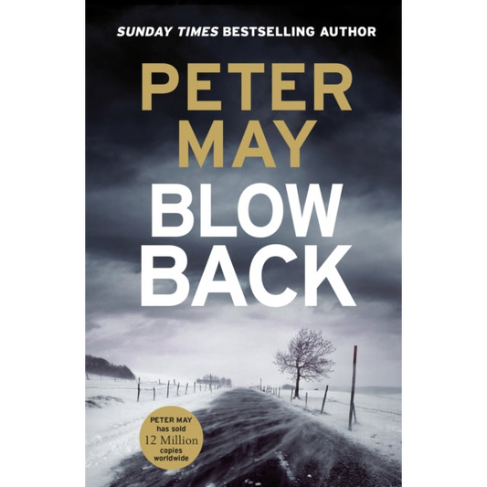 Blowback : The exciting penultimate case in the addictive crime series (The Enzo Files Book 5)