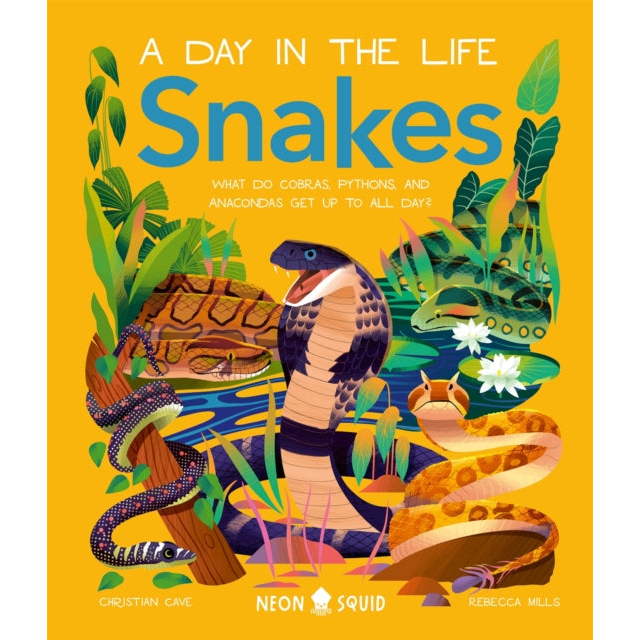 Snakes (A Day in the Life) : What Do Cobras, Pythons, and Anacondas Get Up to All Day?