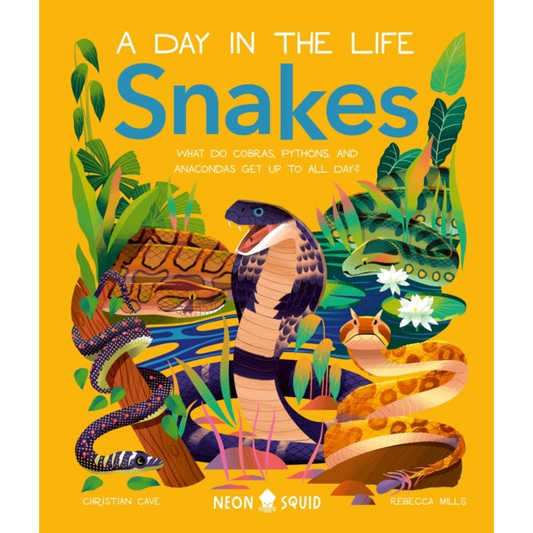 Snakes (A Day in the Life) : What Do Cobras, Pythons, and Anacondas Get Up to All Day?