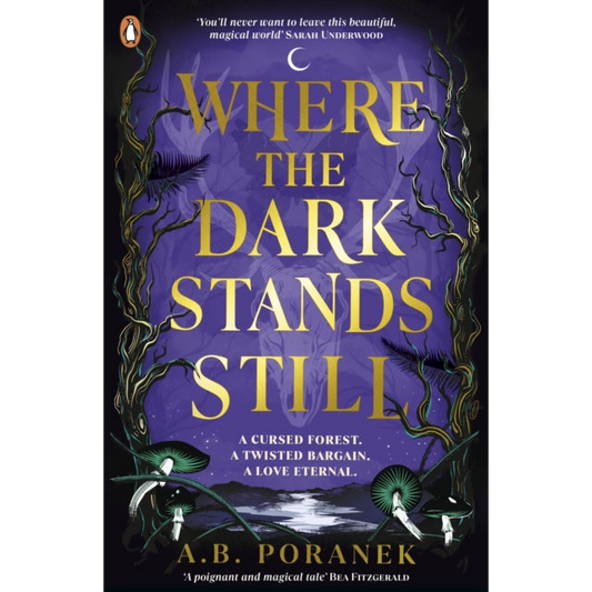 Where the Dark Stands Still