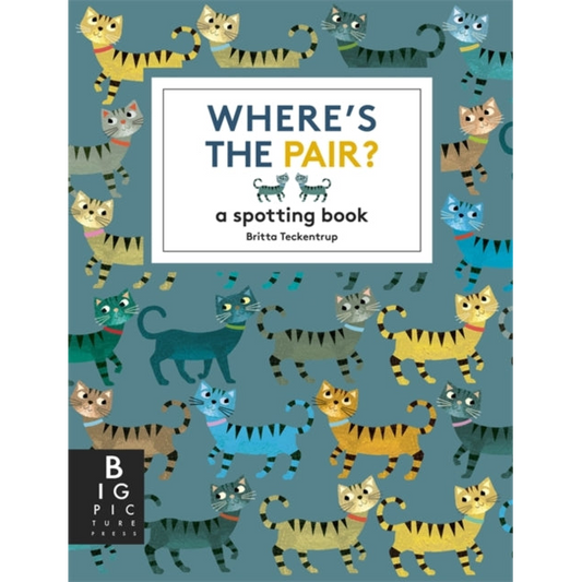 Where's the Pair? : A Spotting Book